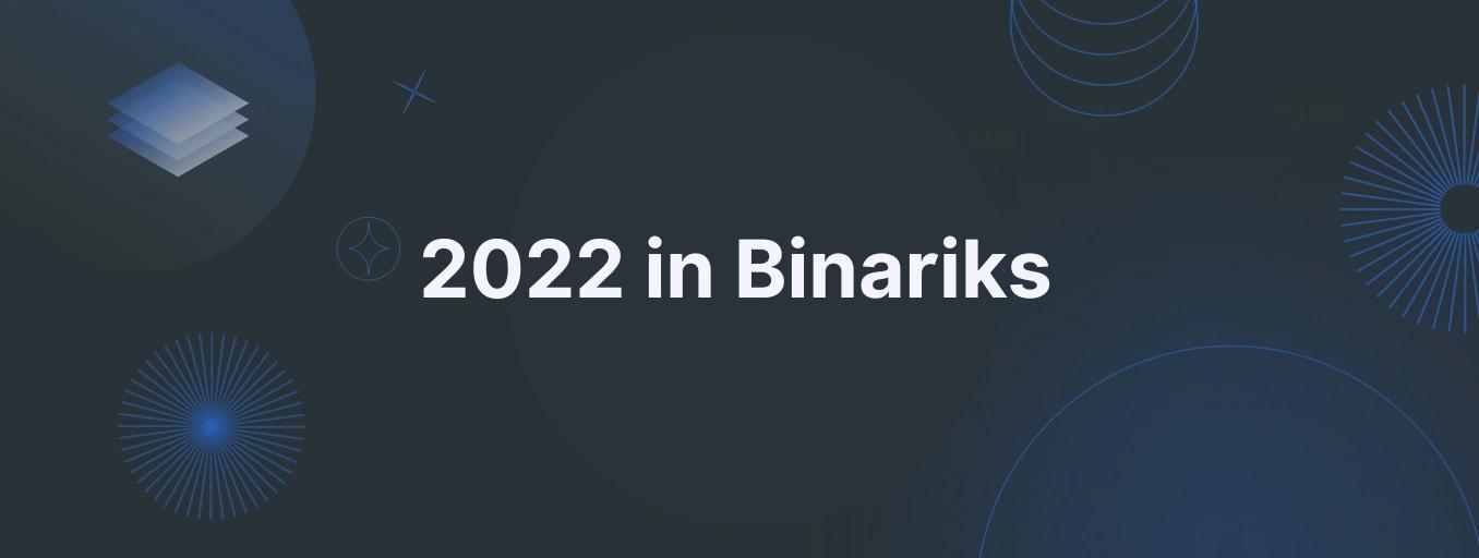 Binariks Summary 2022